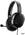 Гарнитура SteelSeries Arctis Raw, 2x jack 3.5 мм, черный (61496)