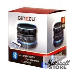 Портативная акустика 1.0 Ginzzu GM-880G (BT, 3W, FM, microSD, USB, AUX), черный