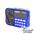 Портативная акустика Сигнал РП-224 3W, FM, USB, microSD, фонарь, черный/синий
